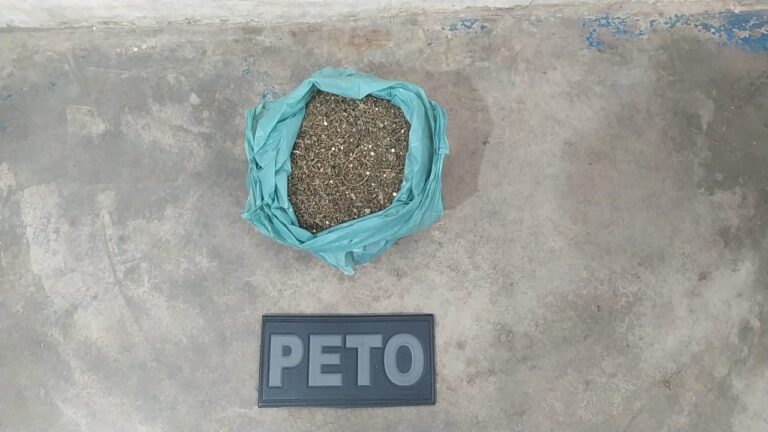Campo Formoso: PM apreende quantidade de maconha na localidade de Poços da Pedra