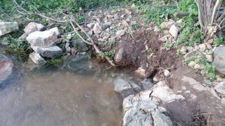 Nascente de rio chama atenção do público em povoado de Campo Formoso