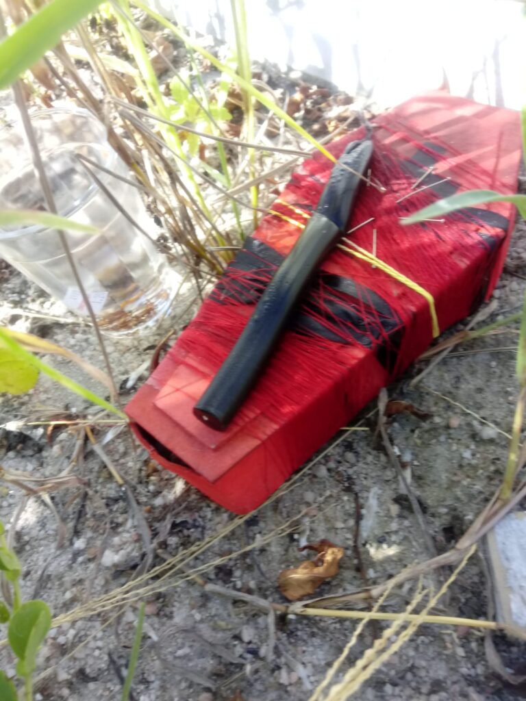 Caixão e outros objetos abandonados em túmulo provocam apreensão em povoado de Campo Formoso