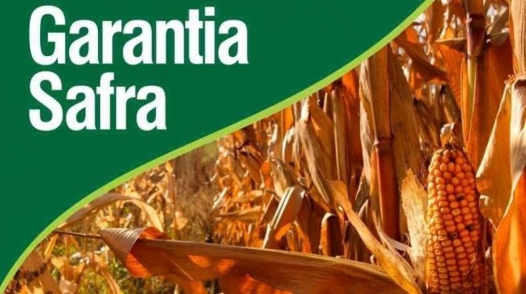 Inscrições do Garantia Safra podem iniciar este mês em Campo Formoso