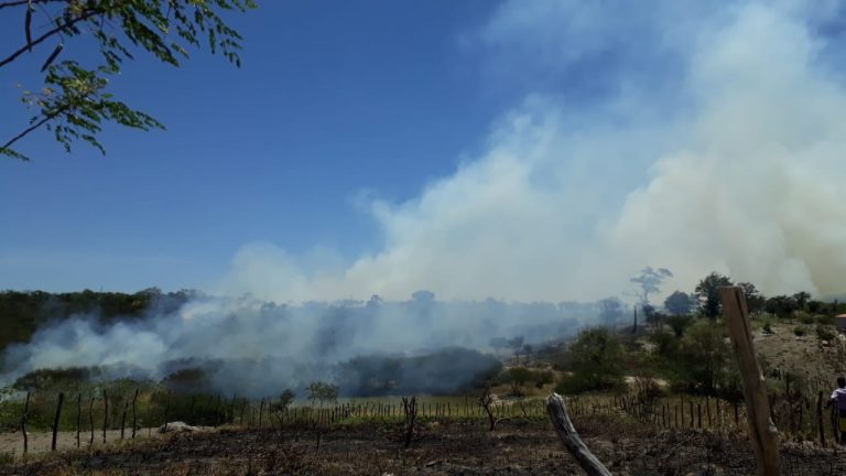 Focos de incêndios são registrados na zona rural de Campo Formoso