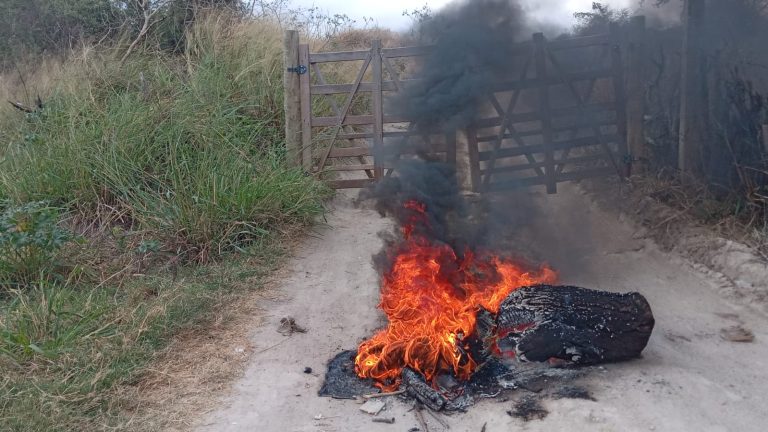 Moradores fazem protesto contra descarte e queima de lixo próximo à rodovia de Campo Formoso