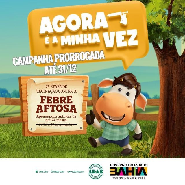 ADAB prorroga campanha de vacinação contra febre Aftosa na Bahia
