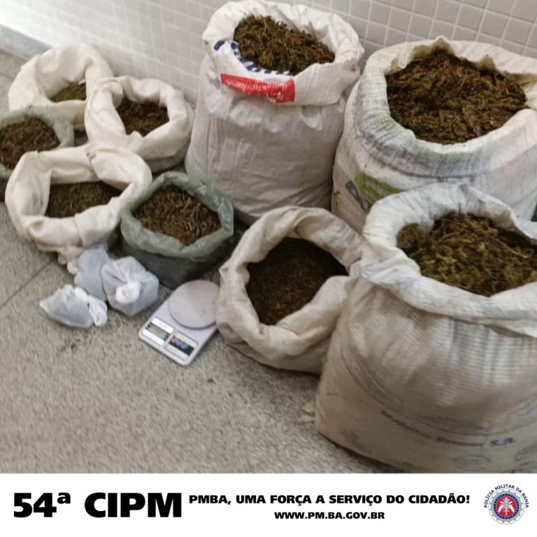 Operação prende dois, apreende veículos e drogas em C.Formoso e Antônio Gonçalves