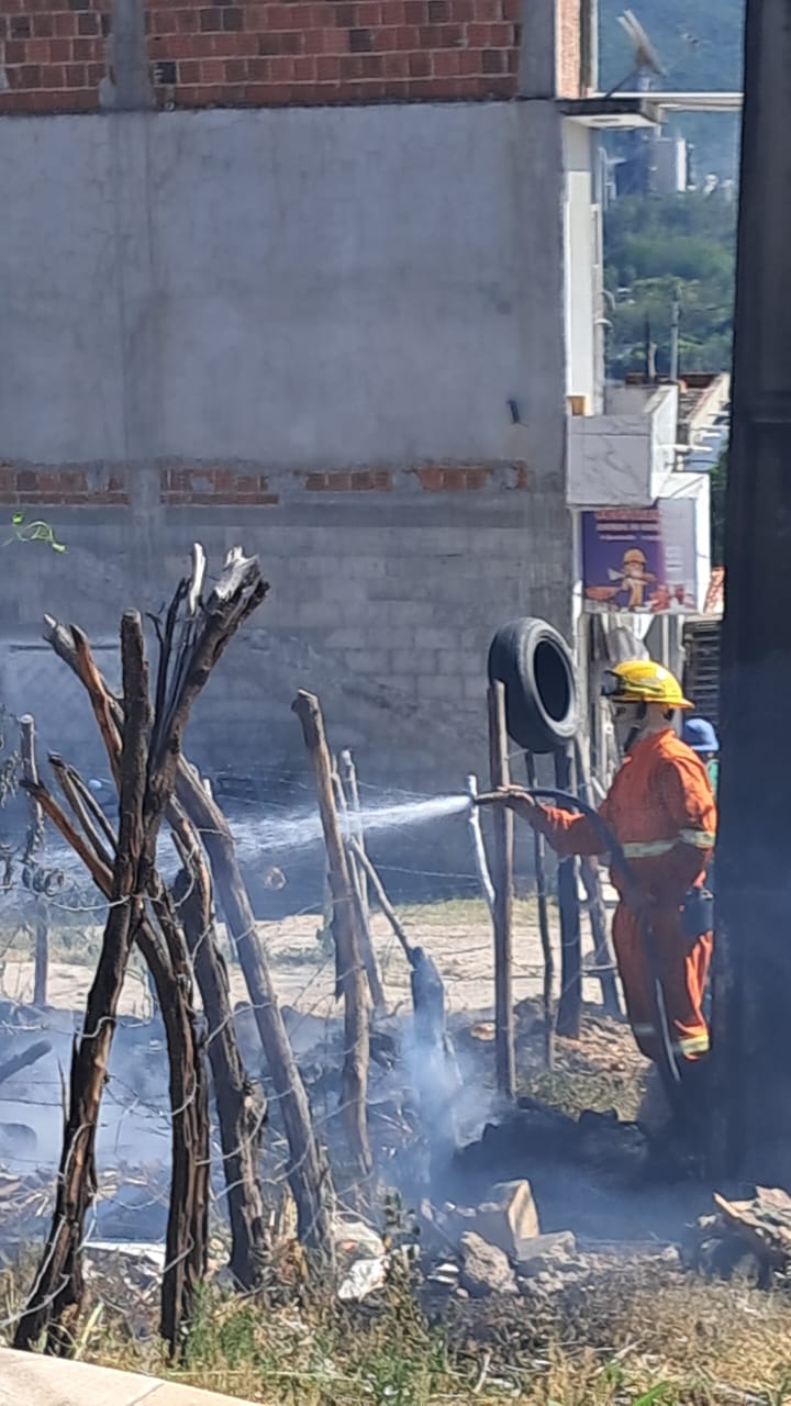 Focos de incêndios florestais alertam para temporada de risco