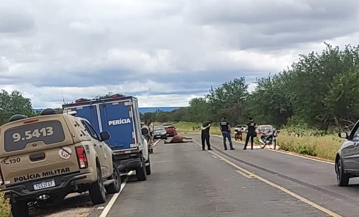 Motociclista morre ao bater em cavalo na zona rural de Campo Formoso