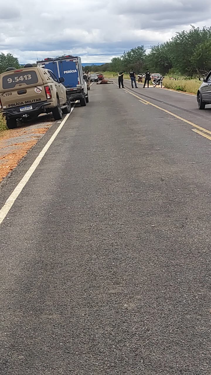 Motociclista morre ao bater em cavalo na zona rural de Campo Formoso
